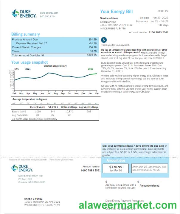 USA DUKE ENERGY utility bill Word and PDF template, version 2